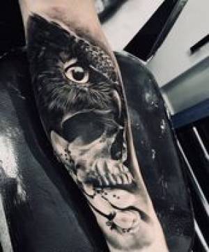 Owl and Skull