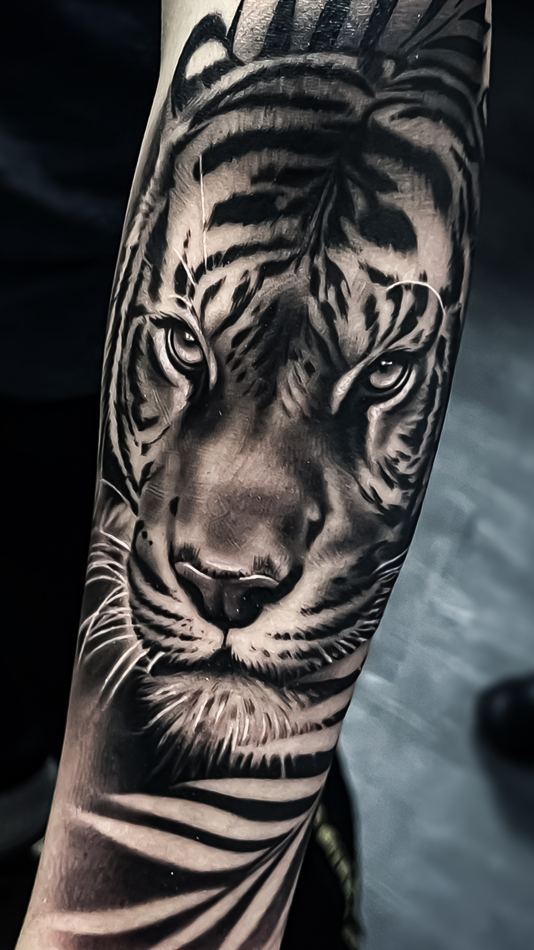 tiger tattoo